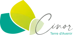 Logo du financeur CINOR - Communauté Intercommunale du Nord de la Réunion