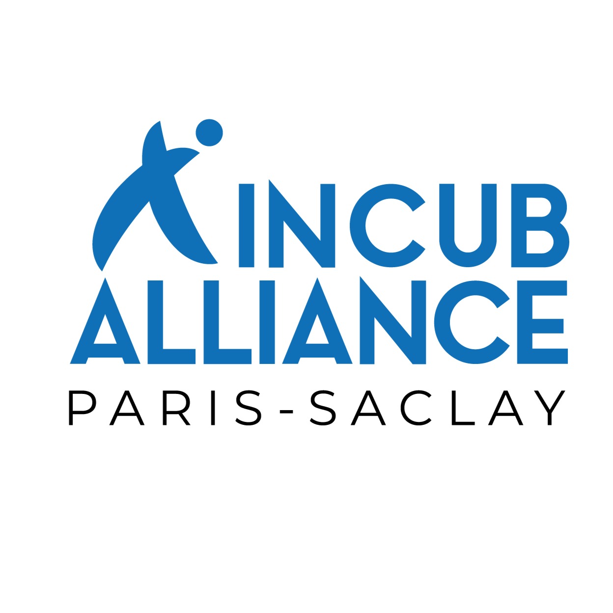 Logo du financeur IncubAlliance